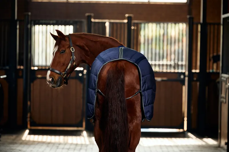 Weatherbeeta ComFiTech PP Channel Quilt Stable Rug Detach-A-Neck 220g Navy/Charcoal-7