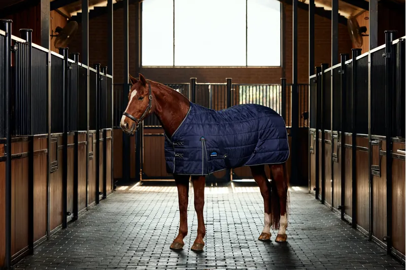 Weatherbeeta ComFiTech PP Channel Quilt Stable Rug Detach-A-Neck 220g Navy/Charcoal-1