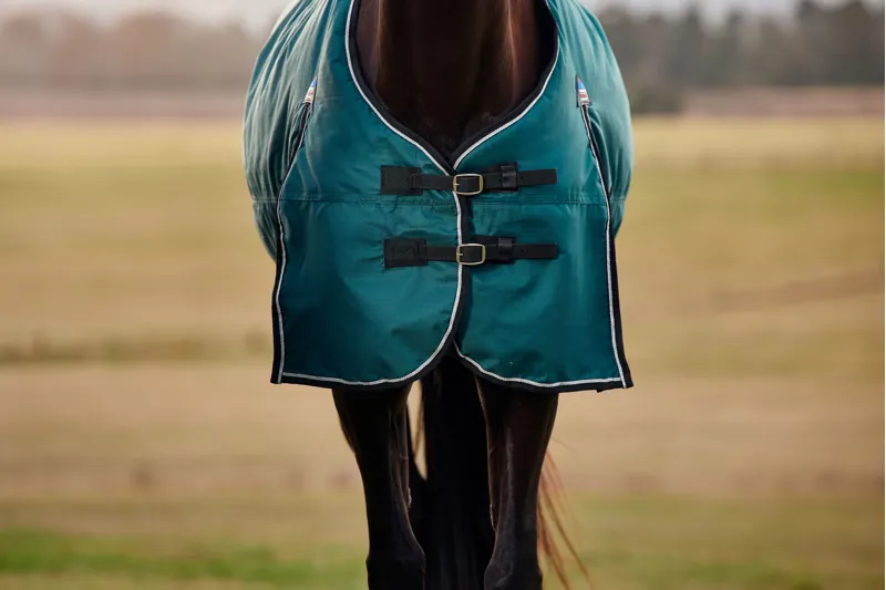 Weatherbeeta ComFiTech Classic Turnout Rug Standard Neck 50g Forest Green/Black-2