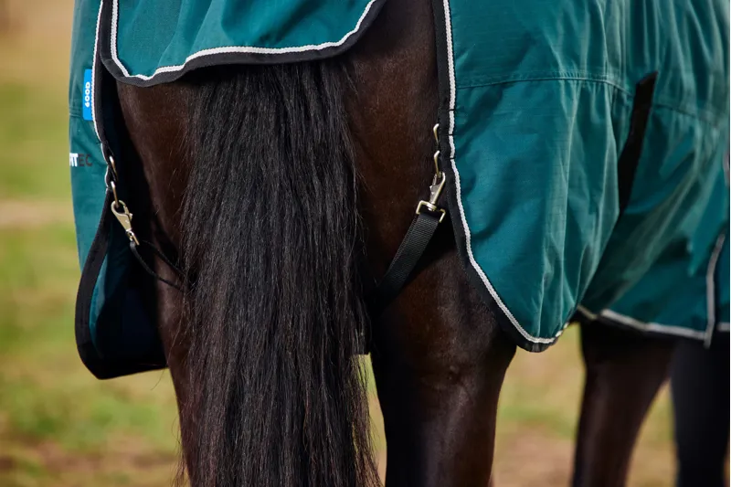 Weatherbeeta ComFiTech Classic Turnout Rug Standard Neck 50g Forest Green/Black-7