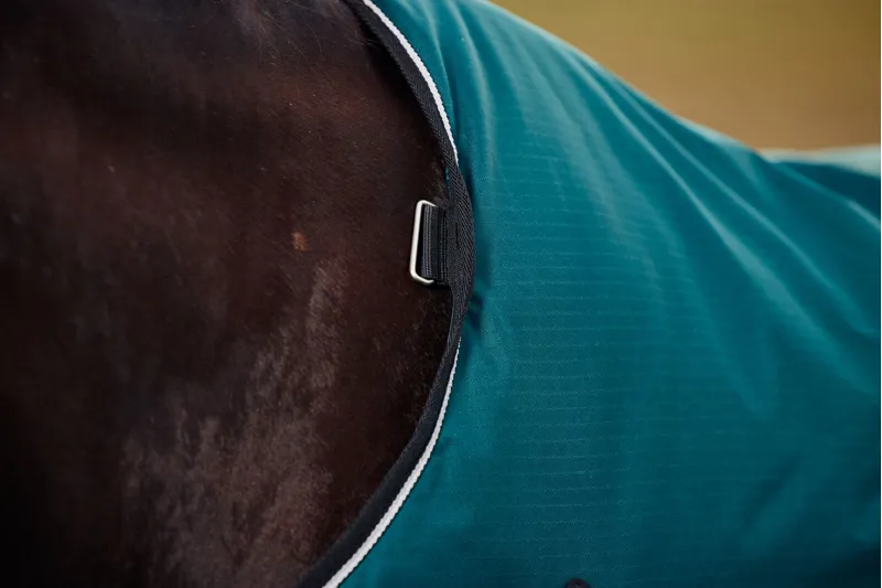 Weatherbeeta ComFiTech Classic Turnout Rug Standard Neck 50g Forest Green/Black-3
