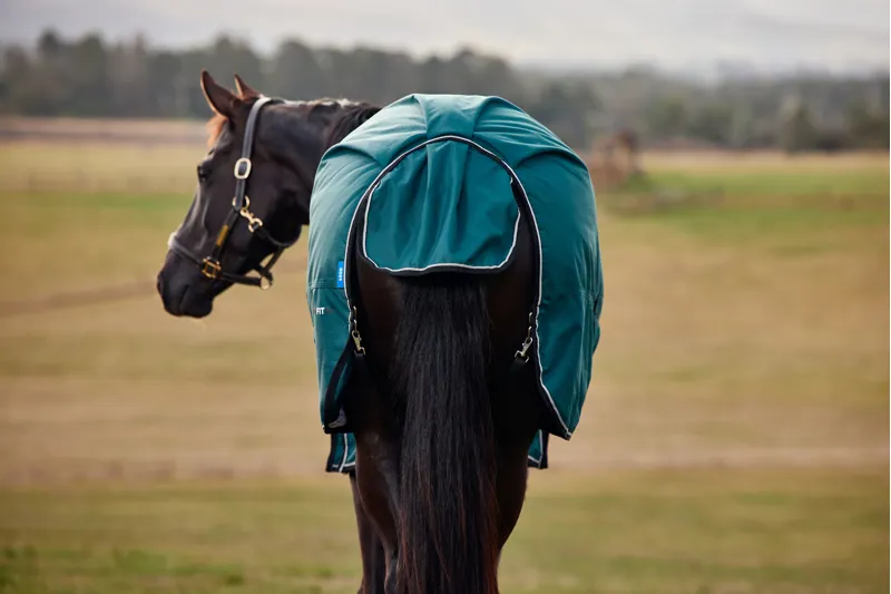 Weatherbeeta ComFiTech Classic Turnout Rug Standard Neck 50g Forest Green/Black-6