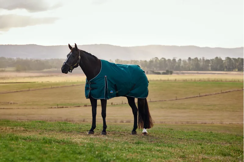 Weatherbeeta ComFiTech Classic Turnout Rug Standard Neck 50g Forest Green/Black-1