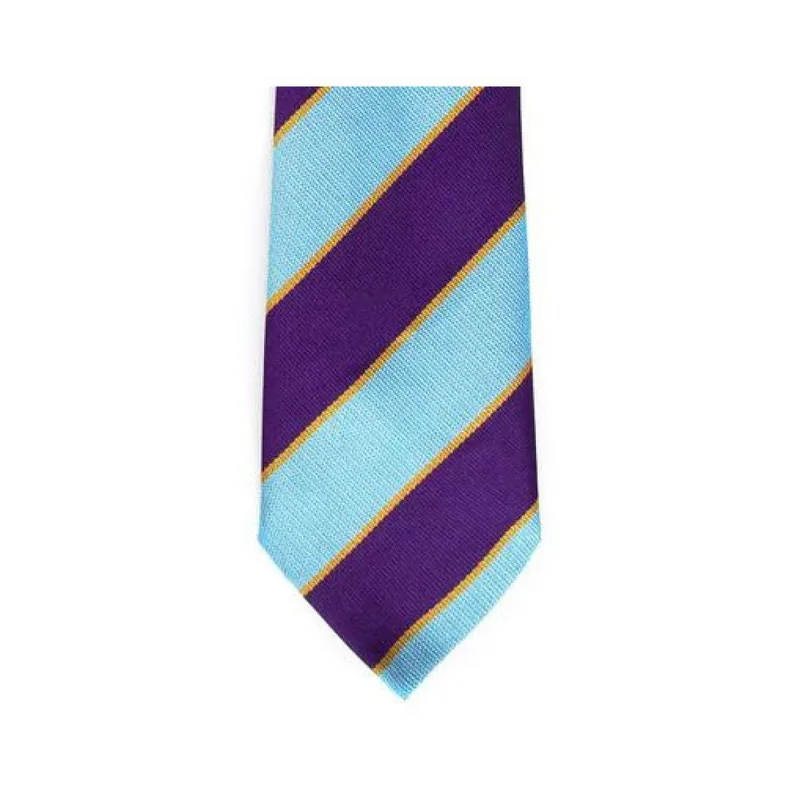 Equetech PC Junior Stripe Tie