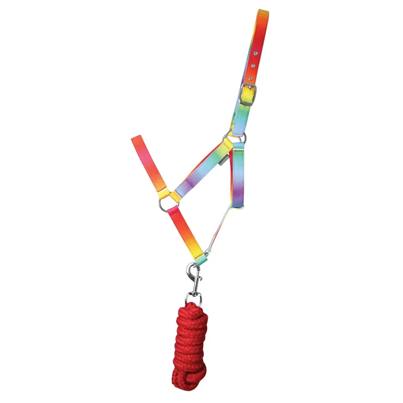 Hy Equestrian Ombre Headcollar and Lead Rope Rainbow