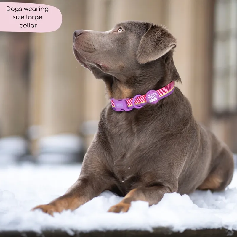 Disney Buzz Collar-2