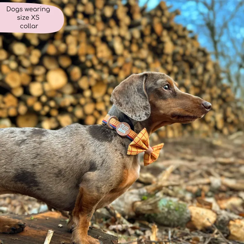 Disney Woody Collar-2