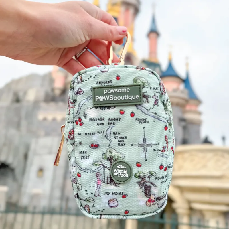 Disney 100 Aker Wood Treat and Go Bag