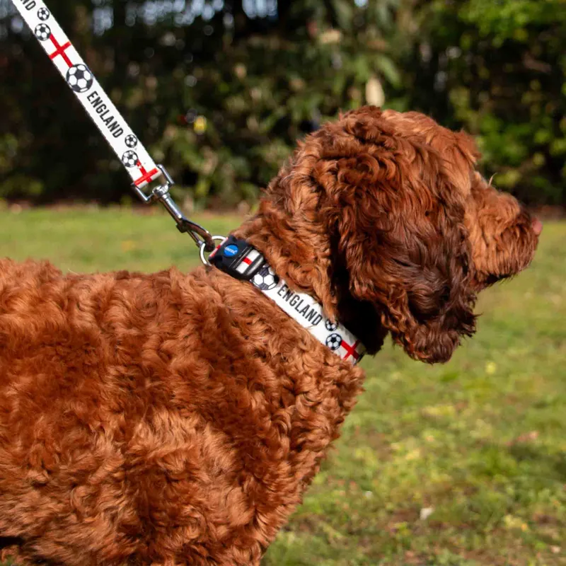 Ancol England Football Collar Medium - 30-50cm-2