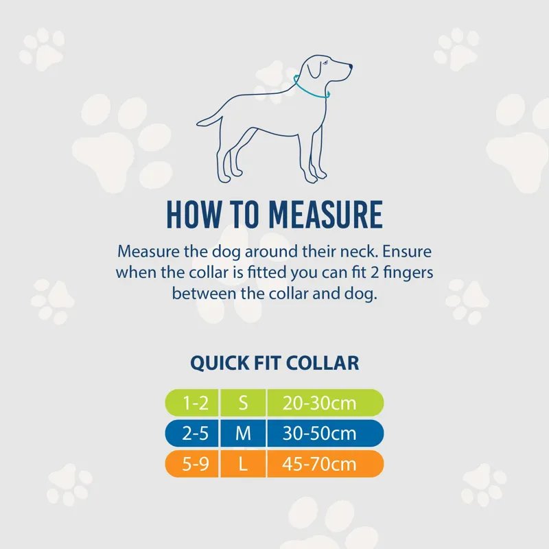 Ancol England Football Collar Medium - 30-50cm-4