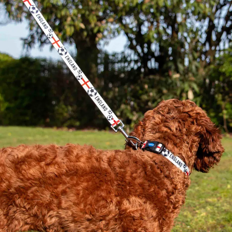 Ancol England Football Lead 100cm-1