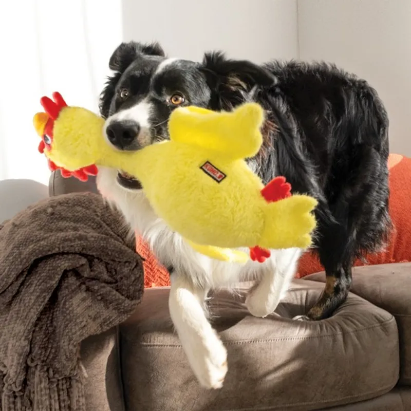 KONG Scruffs Chicken Medium Large-2
