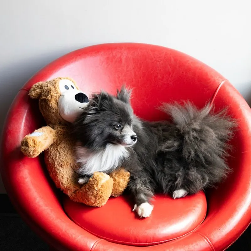 KONG Wild Knots Bear Jumbo Assorted X-Large-4