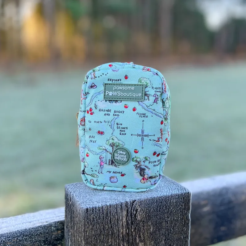 Disney 100 Aker Wood Treat and Go Bag-1