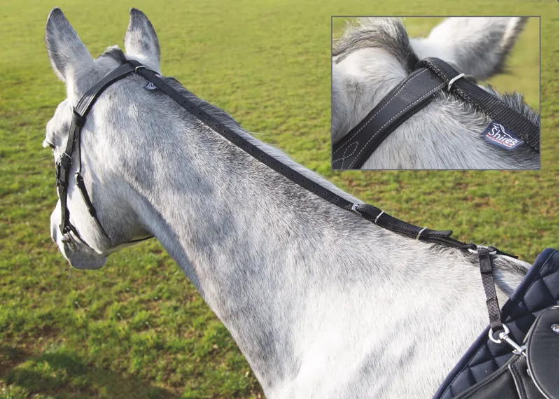 Shires Daisy Rein Black