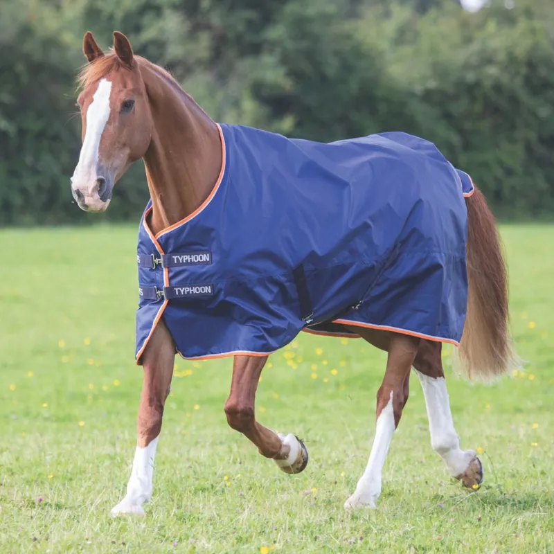 Shires Typhoon 100g Standard Turnout Rug Navy