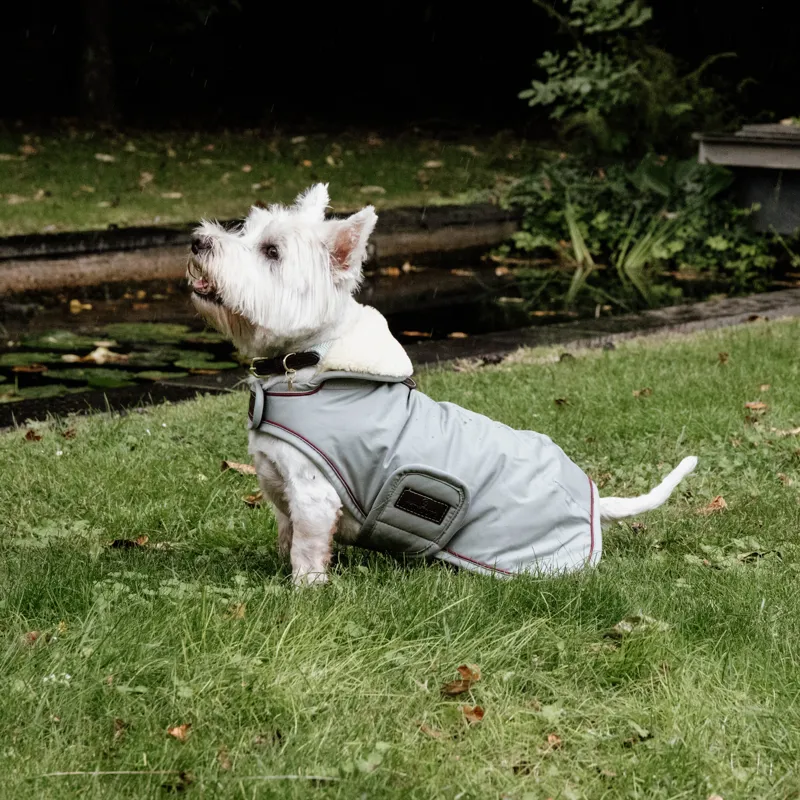 Kentucky Waterproof Dog Coat Dusty Blue-1
