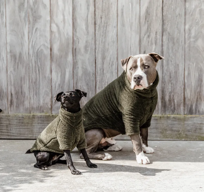Kentucky Teddy Fleece Dog Coat Pine Green-1