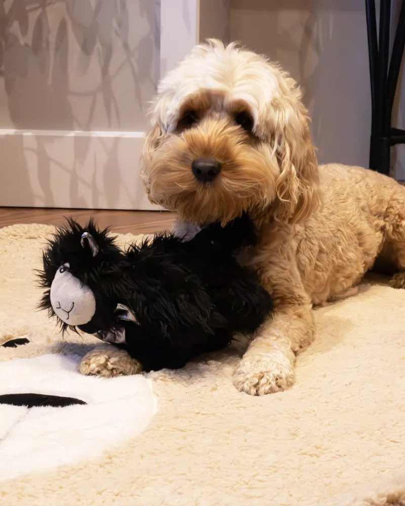 Rosewood Samuel Sheep Dog Toy-1