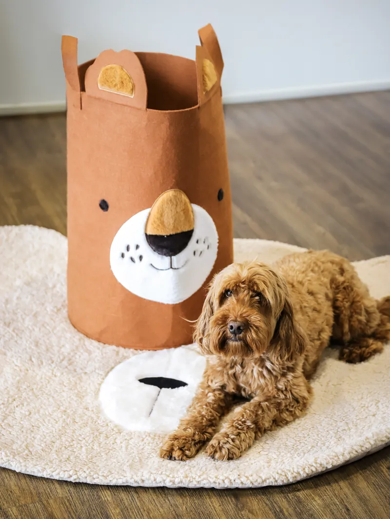 Rosewood Lion Toy Basket-1