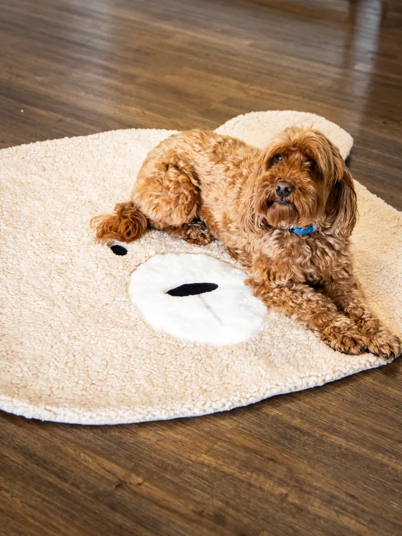 Rosewood Beige Teddy Bear Blanket-2