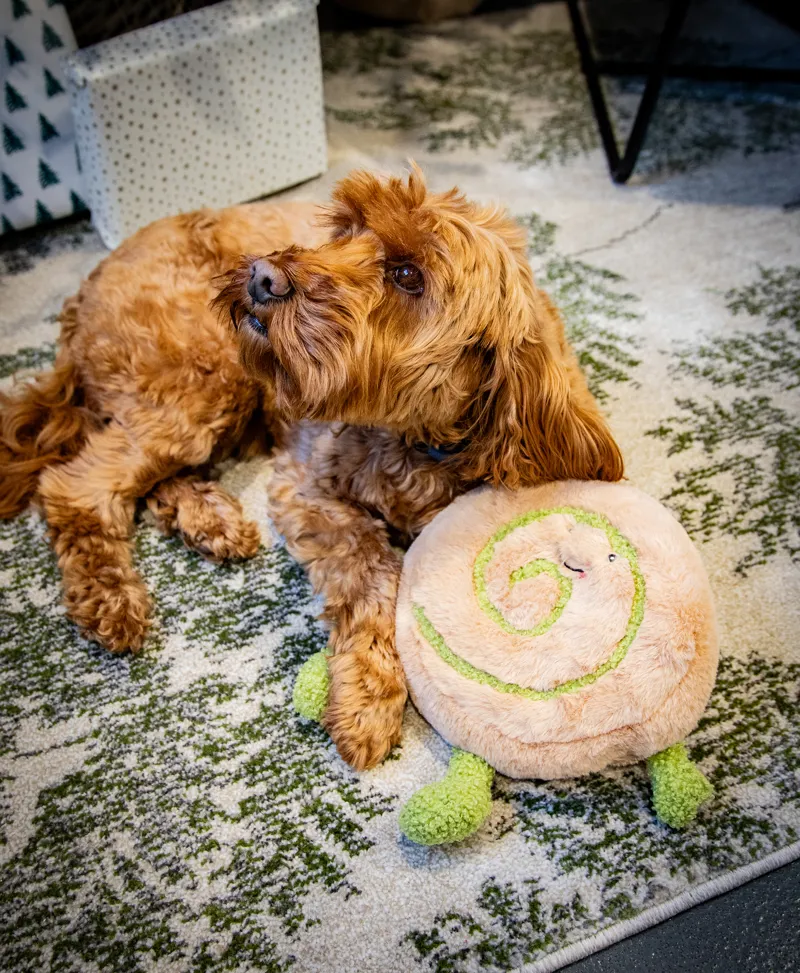 Rosewood Papa Pesto Pinwheel Dog Toy-1