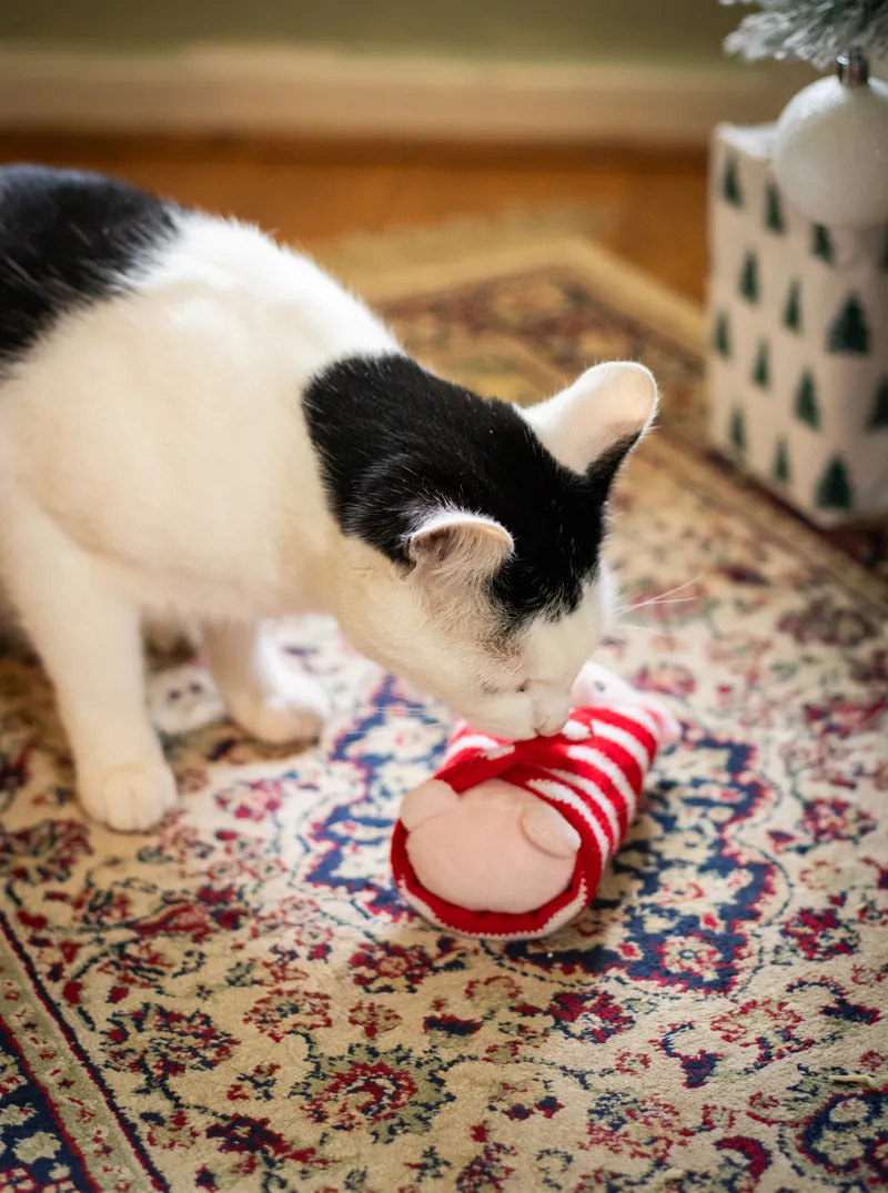 Rosewood Penny Pig In Blanket Cat Toy-2