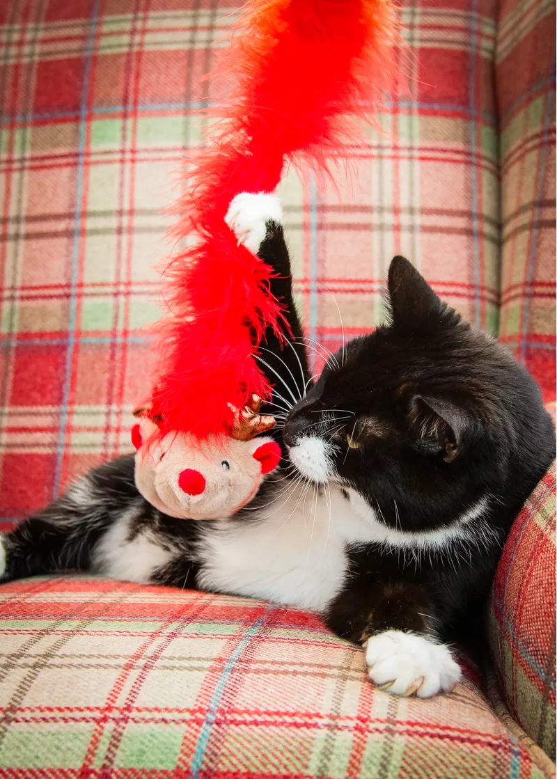 Rosewood Roxy Reindeer Cat Toy-1