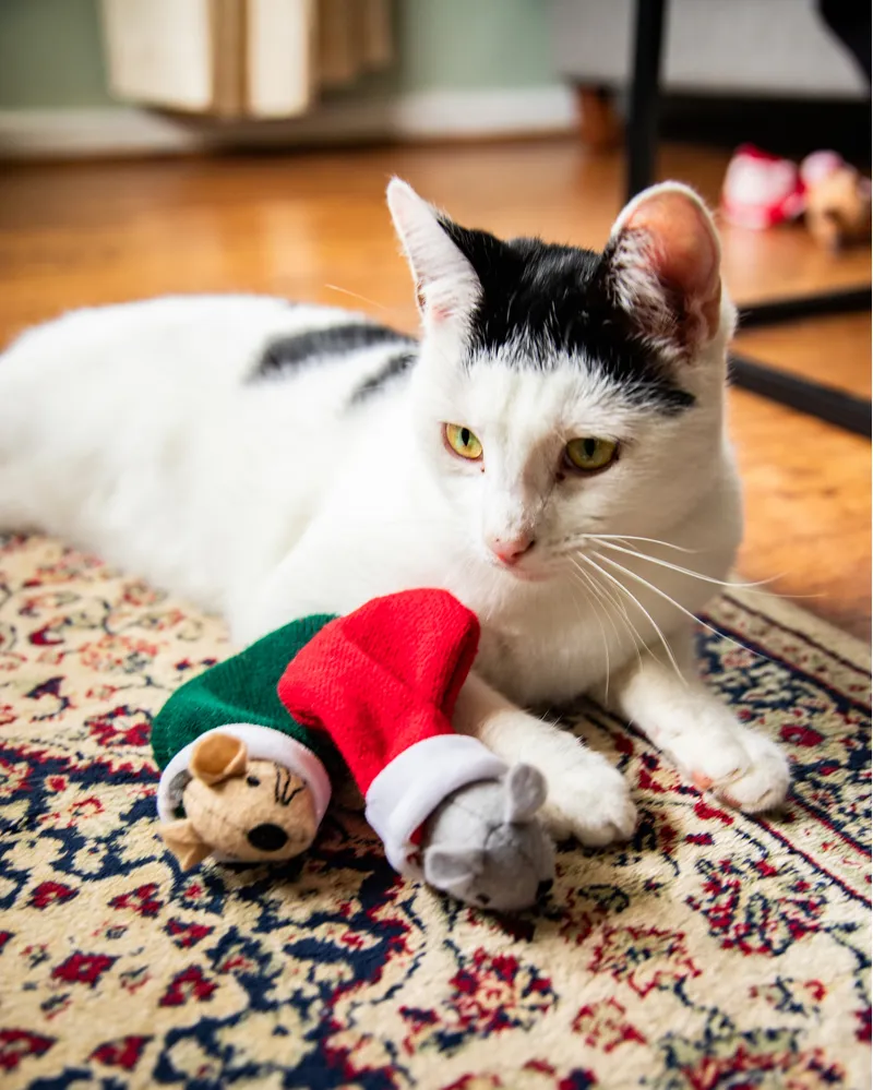 Rosewood Martha and Mayor Mice Duo Cat Toy-1