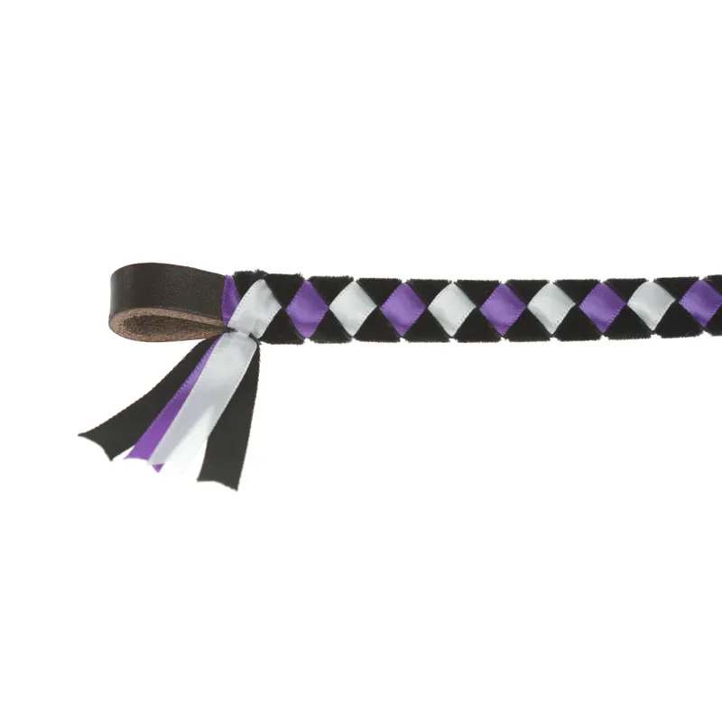 Show Quest Epson Browband Black/Purple/White