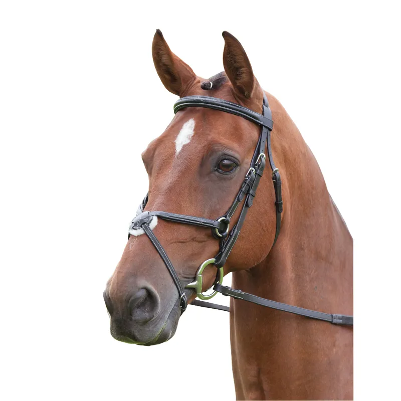 Shires Salisbury Brackley Bridle Black