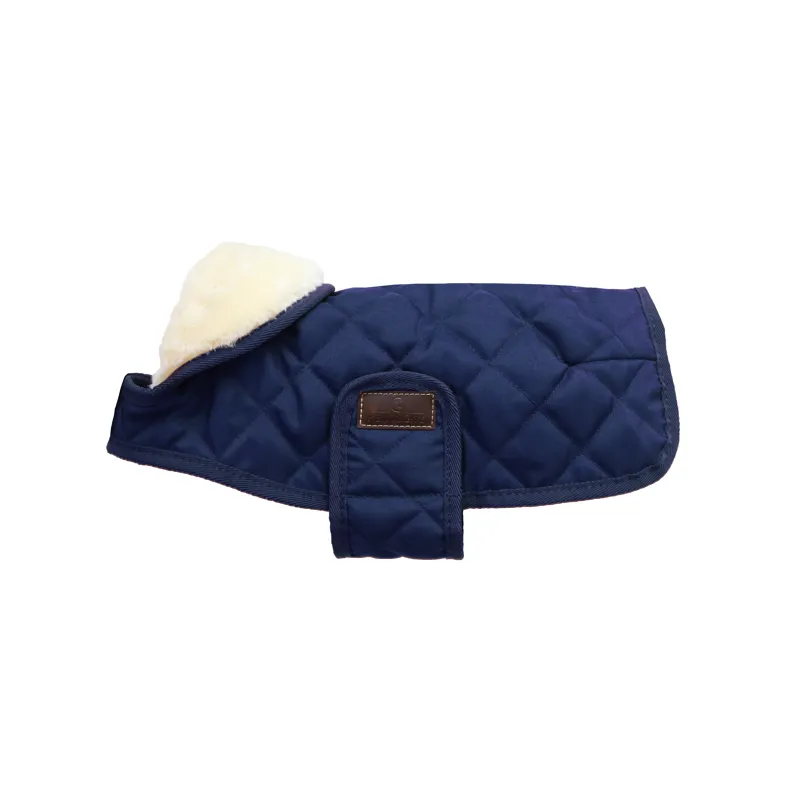 Kentucky Dog Coat Navy
