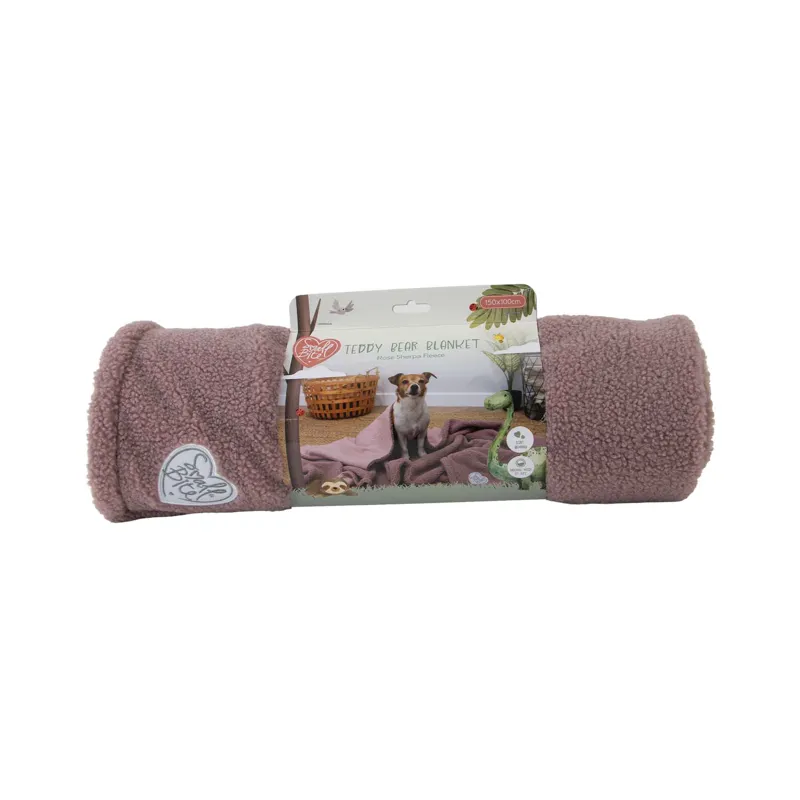 Ancol Small Bite Teddy Bear Blanket Rose