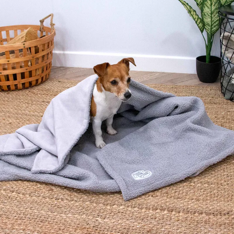 Ancol Small Bite Teddy Bear Blanket Pebble-1