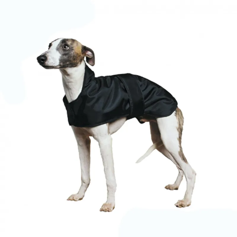 Ancol Hound Coat Black