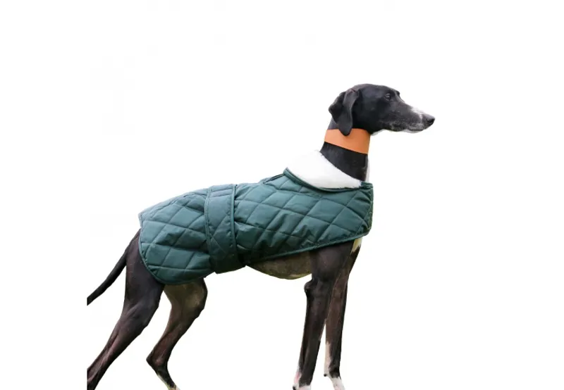 Ancol Quilted Hound Coat Green