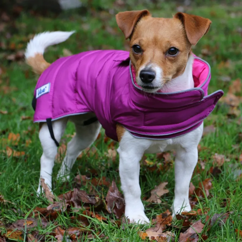 Ancol Viva Reversible Coat Pink/Purple