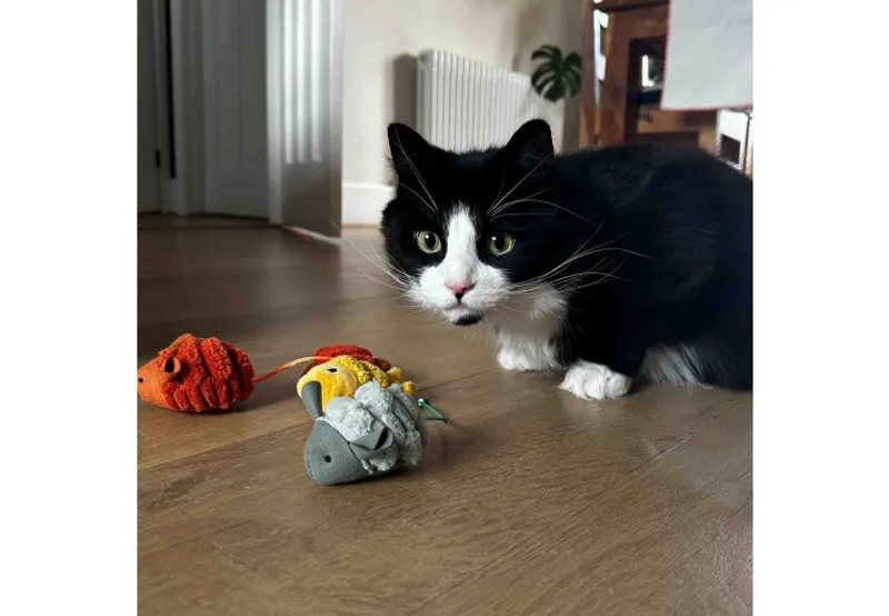 Ancol Fish and Mice Cat Toy Assorted-2