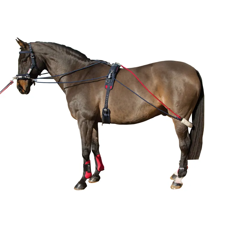 John Whitaker Training System