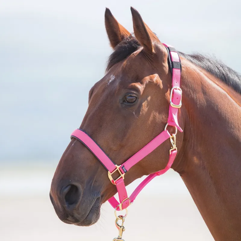 Shires Topaz Nylon Padded Headcollar Hot Pink