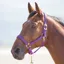 Shires Topaz Nylon Padded Headcollar Purple