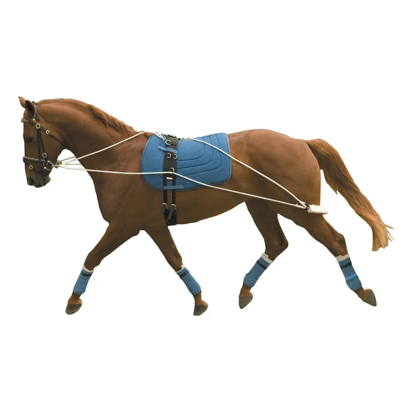 Kincade Lunging Training System