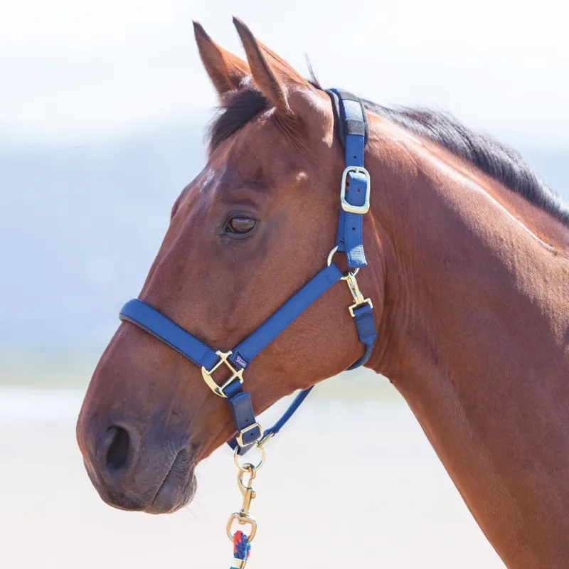 Shires Topaz Nylon Padded Headcollar Navy