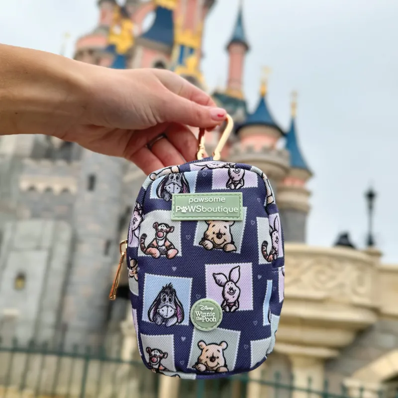 Disney Winnie and Friends Treat and Go Bag-3