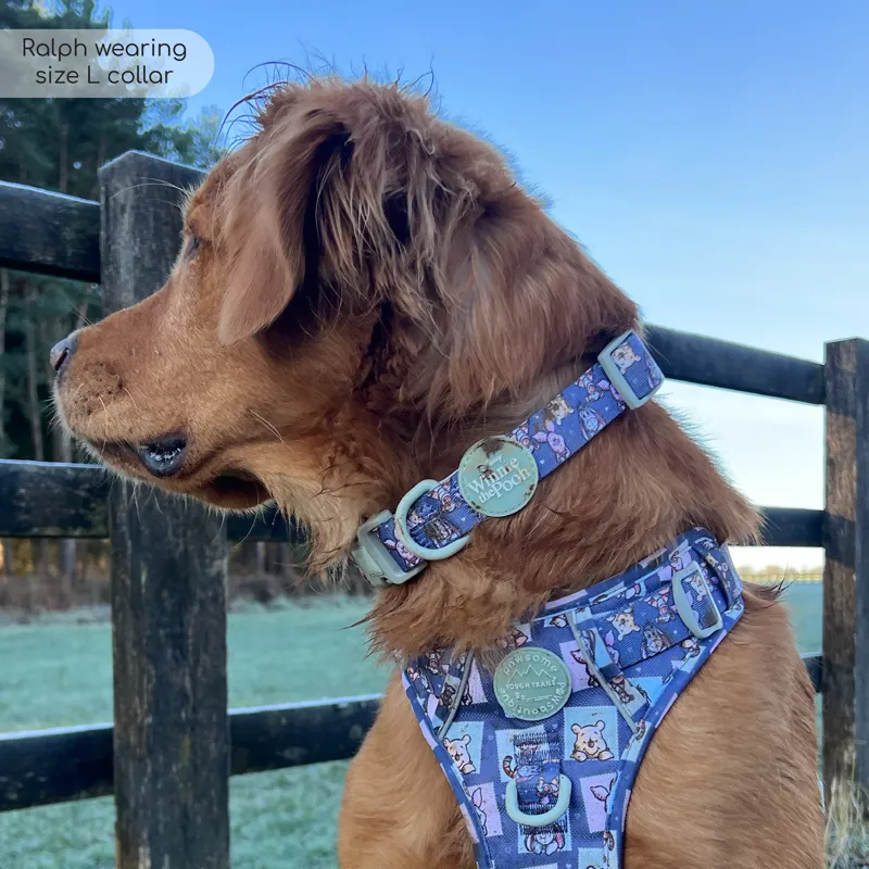Disney Winnie and Friends Collar-2
