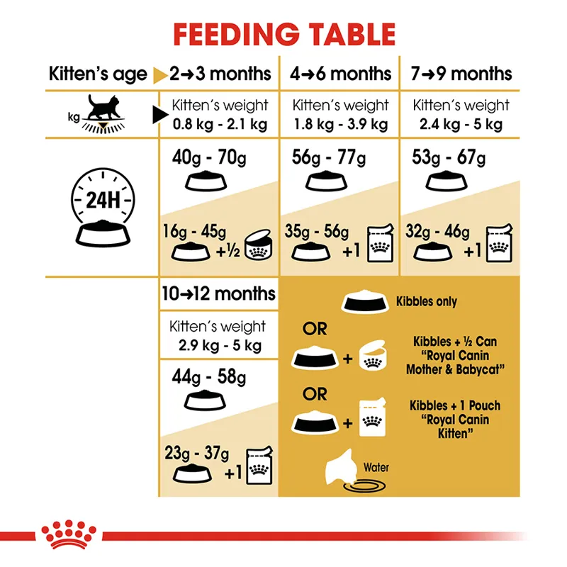 Royal Canin Cat British Shorthair Kitten 2kg-2