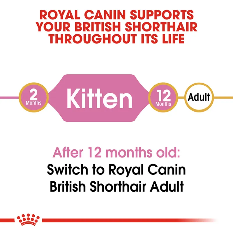 Royal Canin Cat British Shorthair Kitten 2kg-4