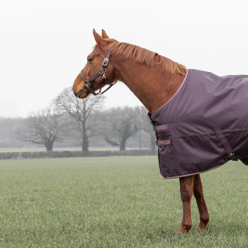Shires Typhoon 100g Standard Turnout Rug Black Cherry-2