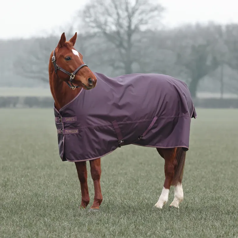 Shires Typhoon 100g Standard Turnout Rug Black Cherry-1