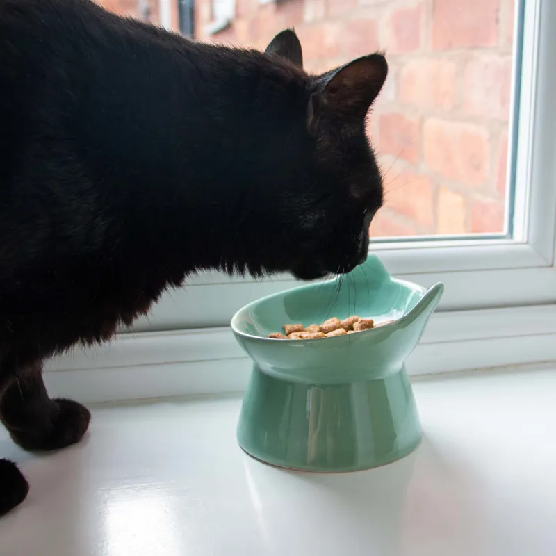 Ancol Raised Cat Feeder Sage Green-1